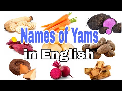 Yam names in english || with pictures