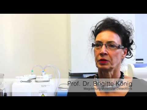 Kleinsche Felder – Heilung im Schlaf?