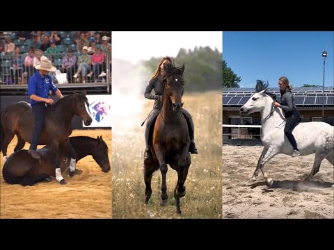 Liberty & Freeriding Compilation pt 10