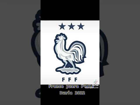 france logo three star 3 star logo France FFF