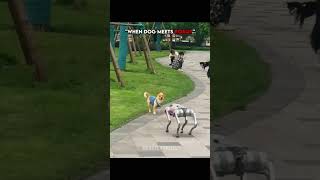 Others with Dog Robot vs Last One...