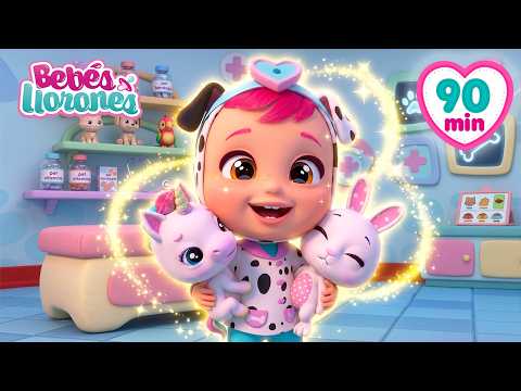 Best of Dotty: Veterinarian and Singer! 🐶 Cry Babies 👶 | Cartoons for Kids