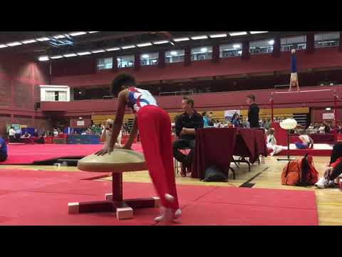 Amazing pomel routine