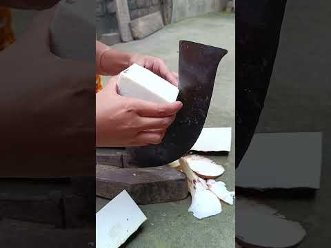 Village Taro Root Cutting || Kochu Cutting ||#ytshorts#shots#shortvideo#youtubeshorts#shorts#cutting