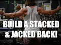 Build a Wide & Muscular Back