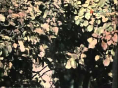 СССР-общество без кризисов!-(2/3)-USSR-the society without crises (2/3)