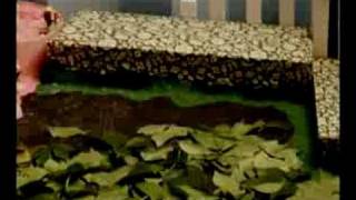 P.toile - Piano Piano OFFICIAL VIDEO
