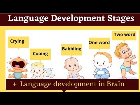 language development stages in childhood | babbling cooing