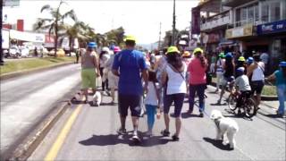 preview picture of video 'Caminata Canina Dosquebradas 2014'