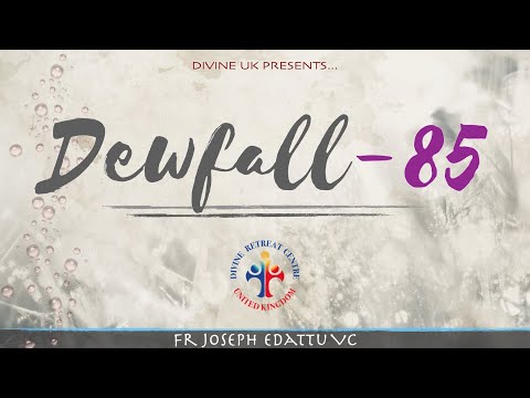 Dewfall 85 - Repair before it leaks