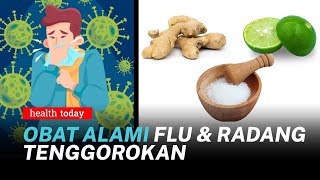 Download lagu Berkhasiat Obat Alami Flu dan Radang Tenggorokan d... mp3