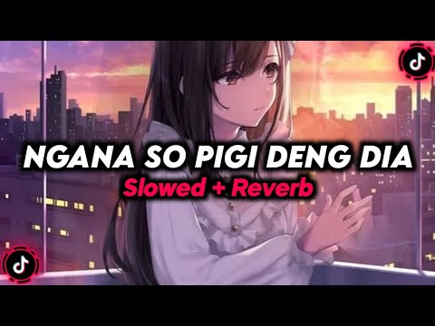DJ NGANA SO PIGI DENG DIA (SLOWED + REVERB)