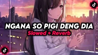 Download lagu DJ NGANA SO PIGI DENG DIA (SLOWED   REVERB) mp3