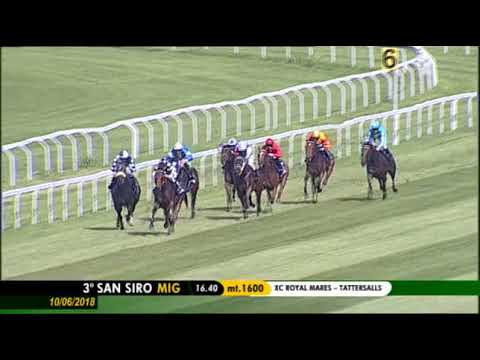 2018.06.10 Premio Xc Royal Mares (ITA) - Musa D'oriente