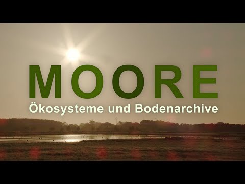 Moore – Ökosysteme und Bodenarchive