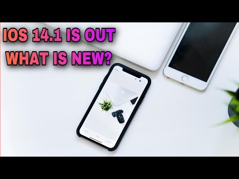 ios 14.1 is here ( how to update your iPhone software)