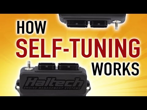 🛠 How Self Tuning Works: Short Term vs Long Term Fuel Trim | TECHNICALLY SPEAKING