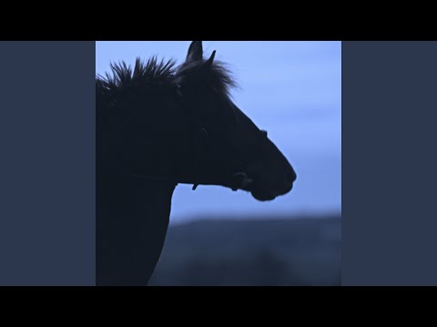 Le Cavalier sans tête