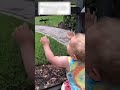 Cute Baby Get Lizard On Hand Shorts Shortsfeed Share Funny Shortvideo