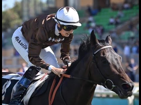 Düsseldorfer Rennpferd "Walderbe" startet bei hoch dotierten Rennen