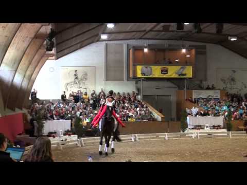 CVI Bern 2015 - Senior Team Nordheim I GER (2nd Round)