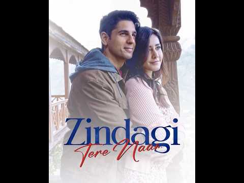 Zindagi Tere Naam Song - Yodha Movie Song ( 