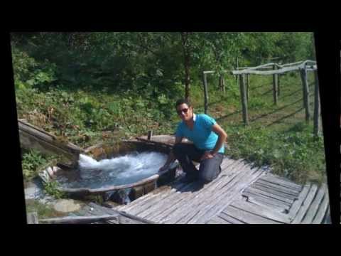 Tase Karanfilovski - splet ( Tri godini bolen lezam & Sekerna )-in live.