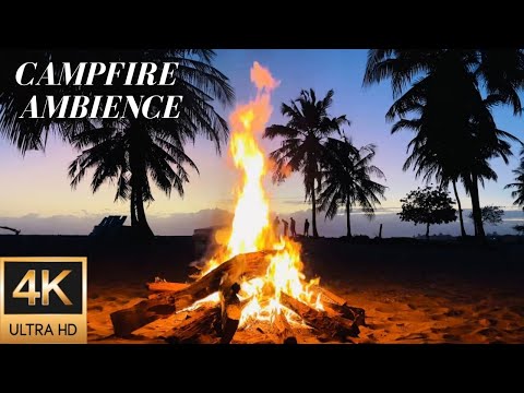 4K Sunrise Beach Campfire Ambience Amongst Palm Trees in Tanzania - Relaxing Fire and Nature Sounds