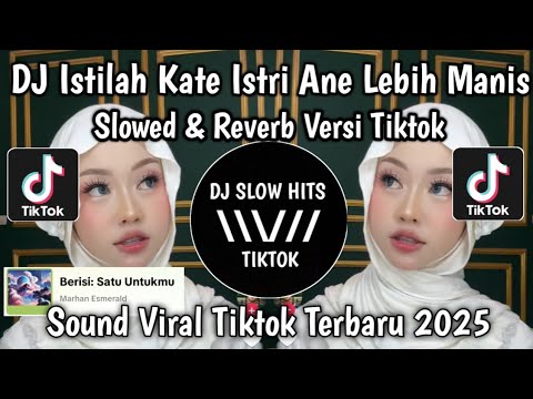 DJ ISTILAH KATE ISTRI ANE LEBIH MANIS SLOWED & REVERB VERSI TIKTOK VIRAL TIKTOK YANG KALIAN CARI