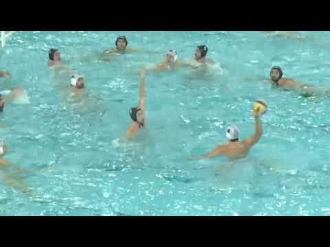 Jug Dubrovnik vs AN Brescia - Highlights - Champion's League 2022-2023 - Round 1