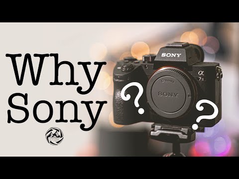 Why did I choose Sony? & Sony a7iii vs Lumix G9 ISO/Low-Light Comparison