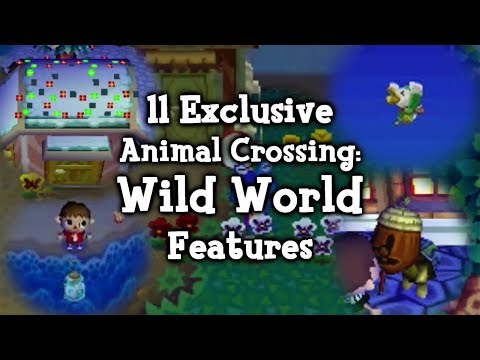 11 Exclusive Animal Crossing: Wild World Features