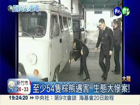 血淋淋走私! 輪胎夾藏213隻熊掌