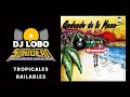 LA GUACA - LA ORQUESTA DE RAY (CANTA : Fernando Gonzalez) (AUDIO FULL) ℗ © 1990