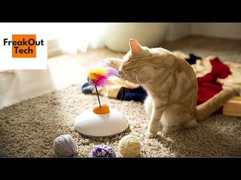 5 Incredible Inventions For Your Cat #10 ✔ Video