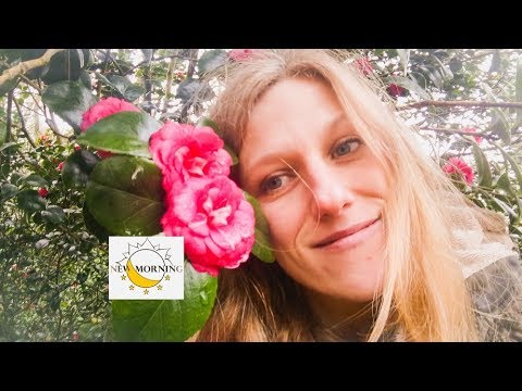 New Morning LTD video.