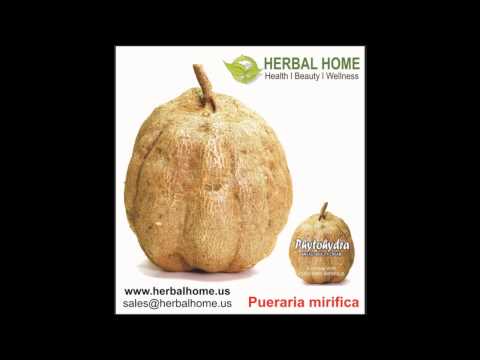 Medicinal Herbs Used in Herbal Home Products, Malaysia