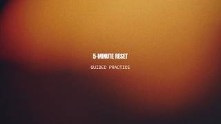 5 Minute Breath Meditation | Calm Your Mind & Reduce Stress | Breathe & Relax