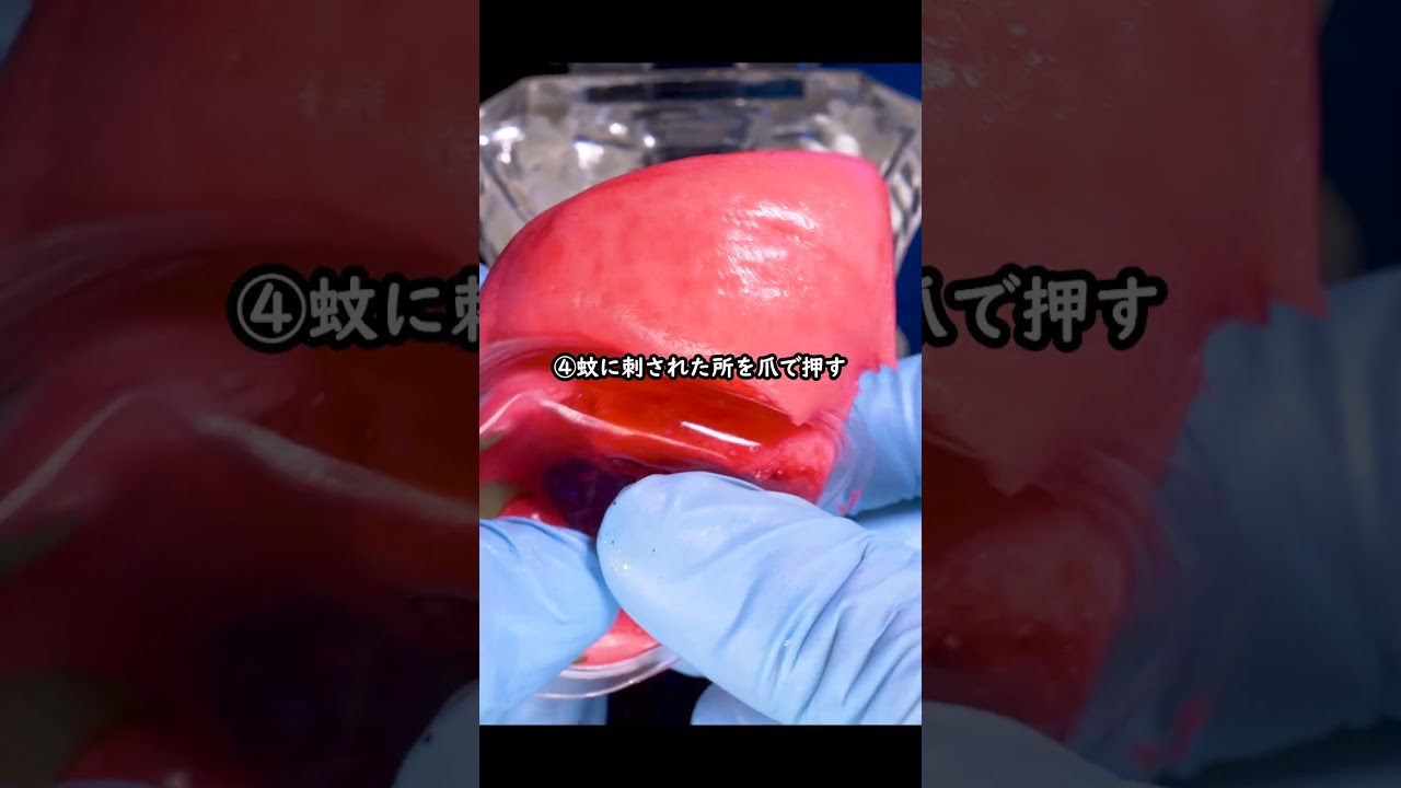 【限界突破】あなたが絶対にゆずれないのはどれ❓️　#asmr