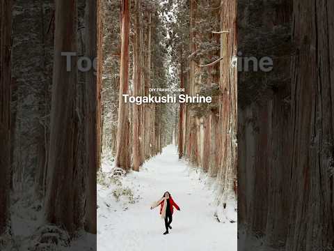 Togakushi Shrine: DIY Travel Guide  #travel #snow #nagano
