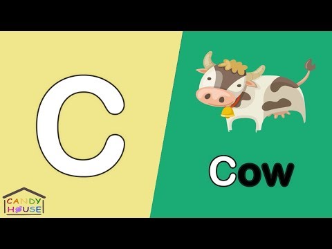 كلمات تبدا بحرف ال C