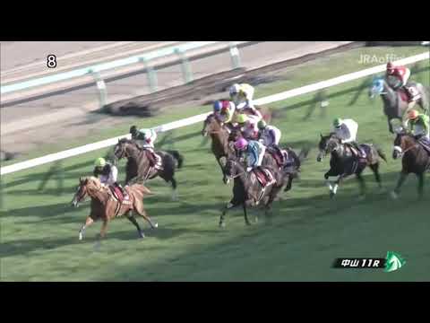 09/21/2020 Nakayama Race 11 Asahi Hai St.Lite Kinen (G2)