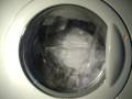 Zanussi WJD 1667 W Shirts Cottons 50