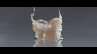 MUSIC VIDEO PROJECT: VETO BY SOHN