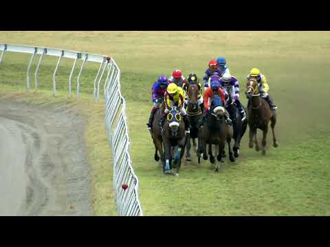 31eme journée - Race 4 - Prince Alf