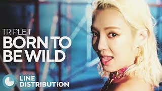 TRIPLE T - Born to Be Wild [feat. JYP] (Line Distribution)