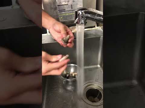 牛の品種 - 特徴と例と珍しさ -