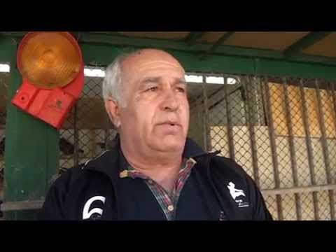 Djordje Rogan, Zemun.