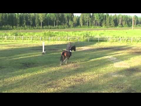 SHS 2012 - Klass 145 - (3) Fredrik Spetz