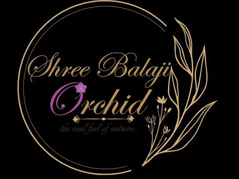 Walkthrough Walkthrough